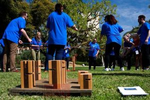 Juegos de jardin 2