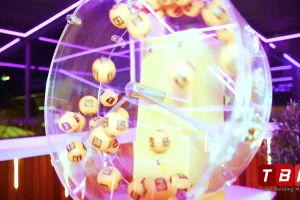 bingo new